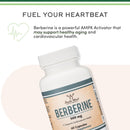 Double Wood Berberine HCl 500 mg 60 Cápsulas