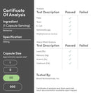 Double Wood Berberine HCl 500 mg 60 Cápsulas