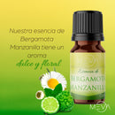 Esencia de Bergamota Manzanilla Para Difusor MEVA - MEVA.MX