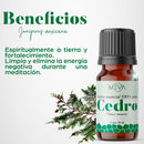 Aceite ESENCIAL Cedro MEVA - MEVA.MX