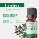 Aceite ESENCIAL Cedro MEVA - MEVA.MX