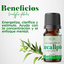 Aceite ESENCIAL de Eucalipto MEVA - MEVA.MX