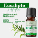 Aceite ESENCIAL de Eucalipto MEVA - MEVA.MX
