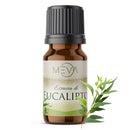 Esencia de Eucalipto Para Difusor MEVA - MEVA.MX