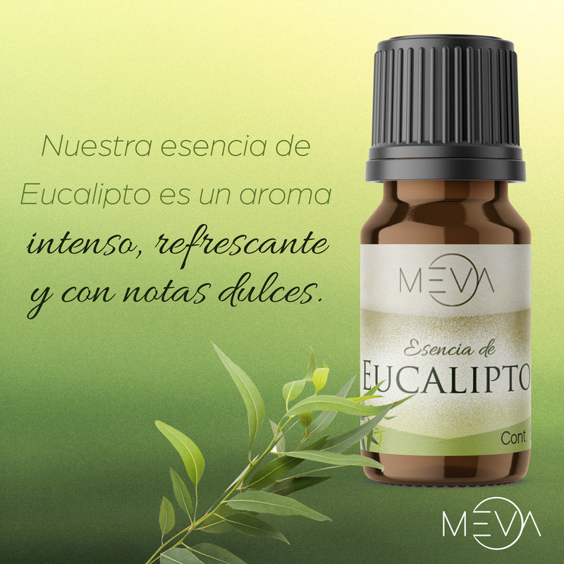 Esencia de Eucalipto Para Difusor MEVA - MEVA.MX