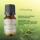Esencia de Eucalipto Para Difusor MEVA - MEVA.MX