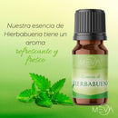 Esencia de Hierbabuena Para Difusor MEVA - MEVA.MX