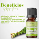Aceite ESENCIAL Lemongrass MEVA - MEVA.MX
