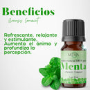 Aceite ESENCIAL Menta MEVA - MEVA.MX