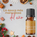 Esencia de Manzana Canela NAVIDAD Para Difusor MEVA - MEVA.MX