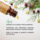 Esencia de Manzana Canela NAVIDAD Para Difusor MEVA - MEVA.MX
