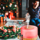 Esencia de Manzana Canela NAVIDAD Para Difusor MEVA - MEVA.MX