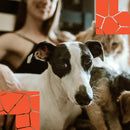 Esencias KIT PET FRIENDLY, Para Difusor MEVA Kit de 5 frascos 5 ml - MEVA.MX