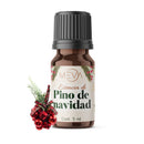 Esencias de navidad Para Difusor MEVA Kit de 10 frascos 5 ml - MEVA.MX