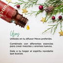 Esencia de Ponche Para Difusor MEVA - MEVA.MX