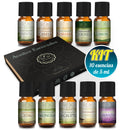 Esencias Para Difusor MEVA Kit de 10 frascos 5 ml - MEVA.MX