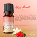Esencia de Vainilla Frambuesa Para Difusor MEVA - MEVA.MX