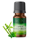 Esencia de Bambu Menta Para Difusor MEVA - MEVA.MX