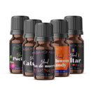 Esencias Halloween, Para Difusor MEVA, Kit de 5 frascos de 5 ml - MEVA.MX
