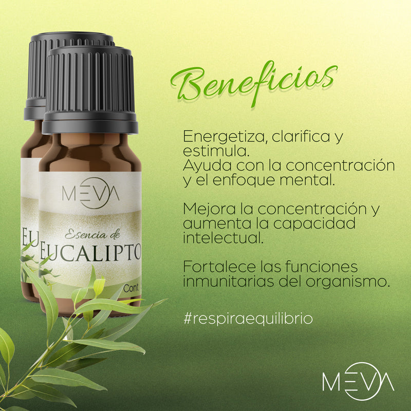 Esencia de Eucalipto Para Difusor MEVA - MEVA.MX