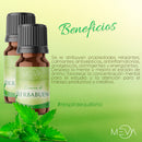 Esencia de Hierbabuena Para Difusor MEVA - MEVA.MX